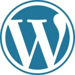 best-freelance-digital-marketer-in-thrissur-kerala-wordpress
